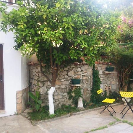 Nehir Dalyan Boutique Otel Ortaca  Buitenkant foto