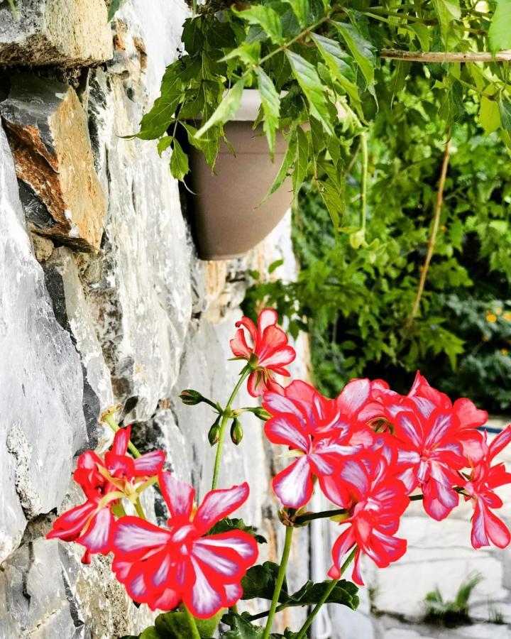 Nehir Dalyan Boutique Otel Ortaca  Buitenkant foto
